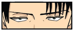 Captain Levi  Sticker  | 3M High Quality Waterproof Premium Matt Finish Sticker