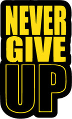 Never Give Up Sticker  | 3M High Quality Waterproof Premium Matt Finish Sticker